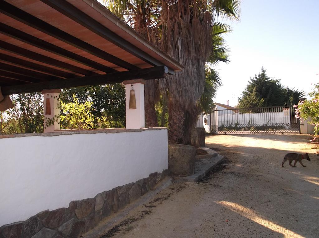 El Olivar De Roche Viejo Villa Conil De La Frontera Eksteriør billede